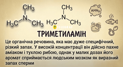 Триметиламін - що це