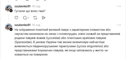 Коментарі користувачів