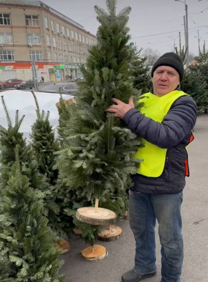 Сборная елка