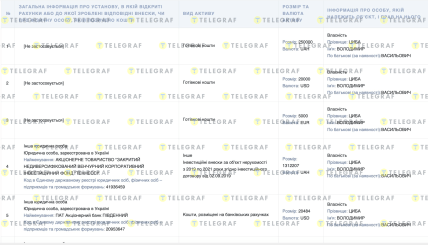 Декларация Цыбы Владимира