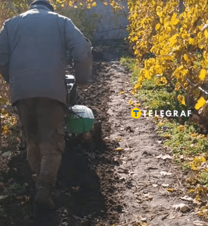 Лопата, вила чи культиватор, чим краще копати