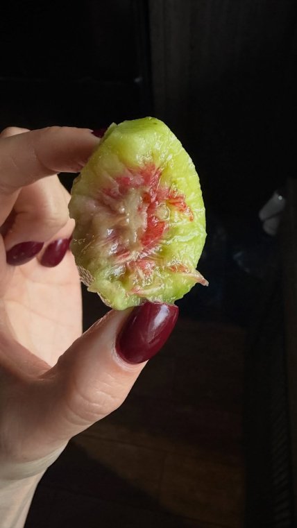 Красный киви