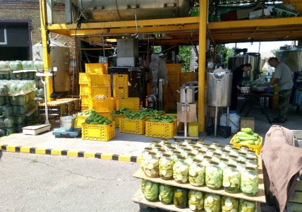 мариновані кабачки - новинка цьогорічного сезону