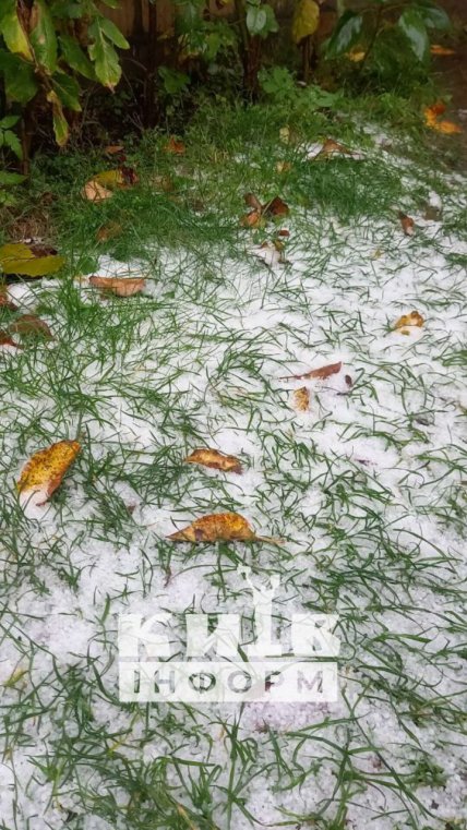 сніг вишгород