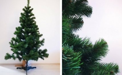 Что такое эко-елки и в чем их экологичность - изображение №4