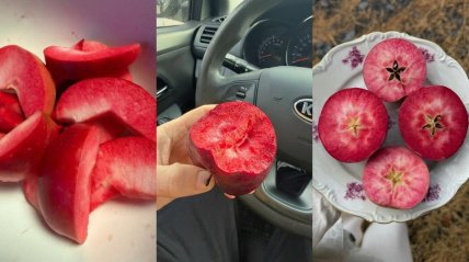 Яблука Байя Маріса
