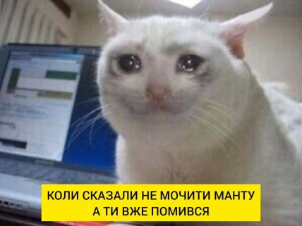 Мэм, что Манту нельзя мочить