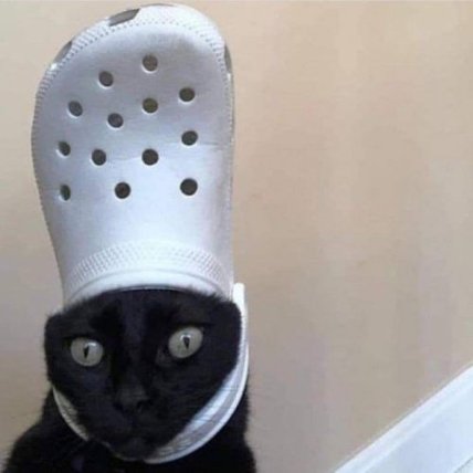 Животные с кроксами