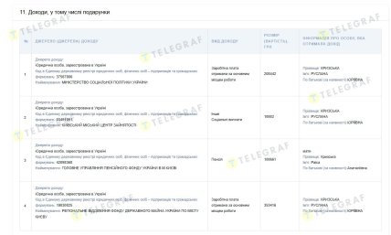Декларация Русланы Кризской за 2022 год — скриншот