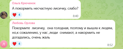 Лиса бегала по спортивной площадке Одесса — комментарии