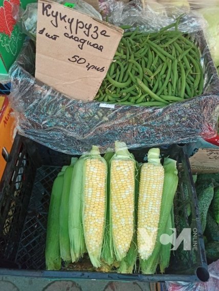 Цены на кукурузу в Одессе