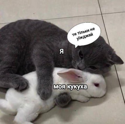 Мем кукуха не їдь з котом та кроликом