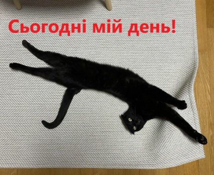 День чорного кота 17 серпня картинки