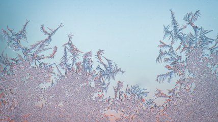 Мороз розмалював вікно