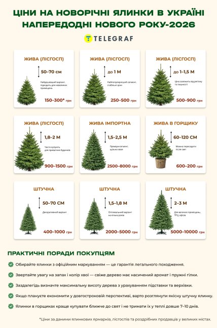 Сколько стоят елки и советы покупателям