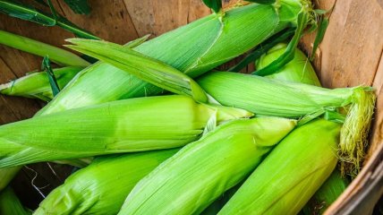 Шелуха может повысить урожайность