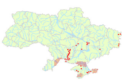 Где можно встретить в Украине