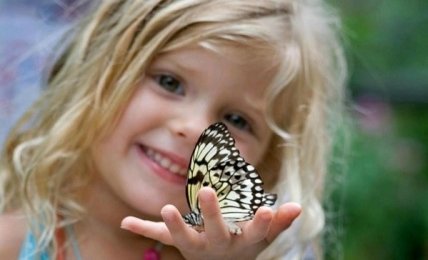  Детская афиша: Куда пойти с ребенком 24 и 25 октября: выставка бабочек