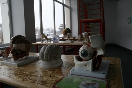 Куда пойти с ребенком в киеве, куда пойти в киеве с детьми, в киев с ребенком, пойти с ребенком киев, куда пойти на выходных киев, куда пойти в киеве с детьми, музеи киева для детей