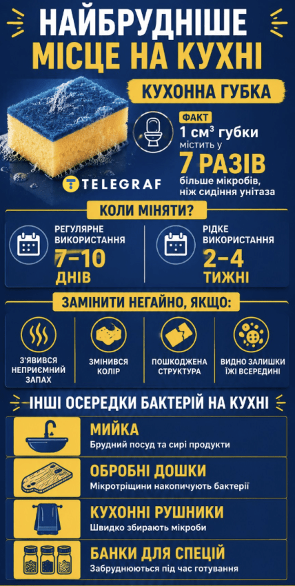 Какое самое грязное место на кухне