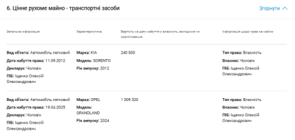 Декларации Олеси Отрадновой