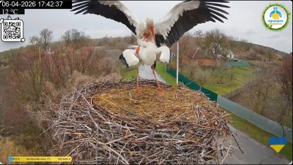 Грицик і Одарка. Лелечі піраміди