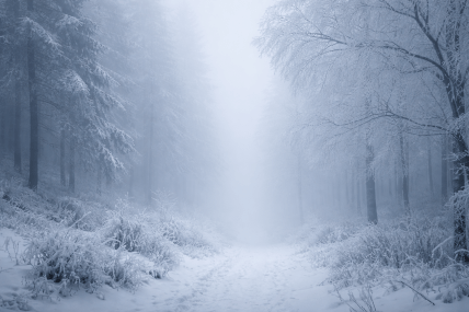 Зимовий туман