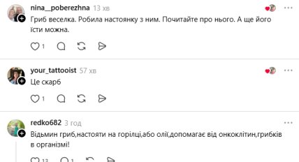 Коментарі користувачів