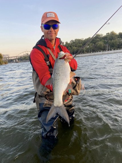 Крупный жерех попался на крючок в Кривом Роге