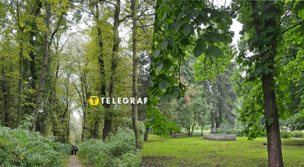 Парк біля садиби фон Мекк у Копилові