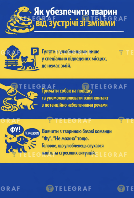 Как обезопасить животных от встречи со змеями