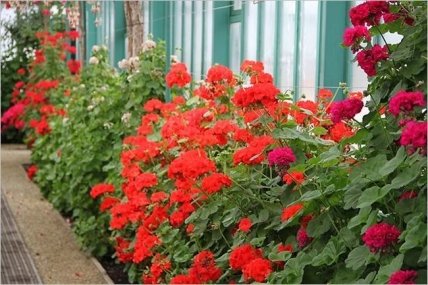 Непередаваемые ощущения