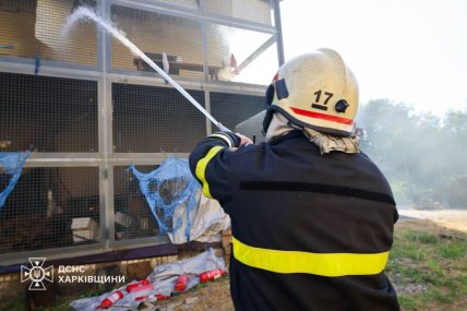 Пожежу вдалось швидко ліквідувати