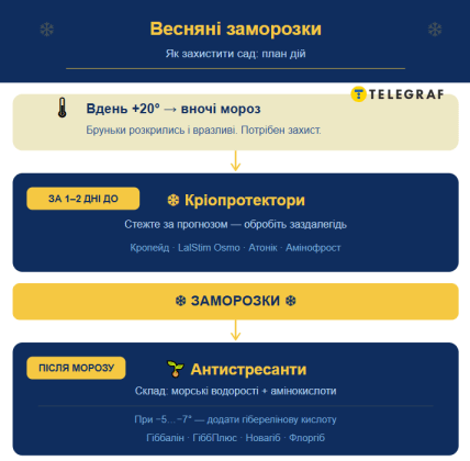 Чим обробити сад перед заморозками, точні препарати