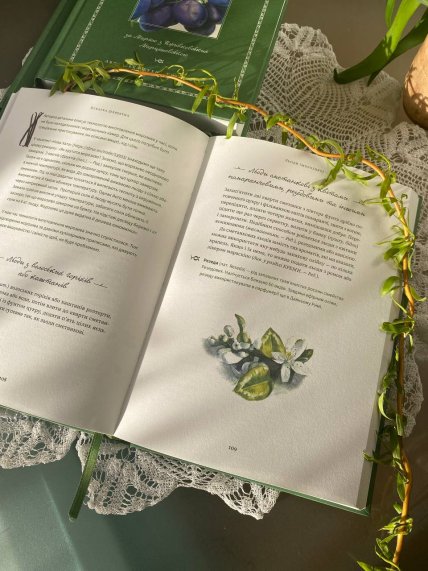 Старинный рецепт мороженого