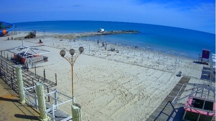 Как выглядит