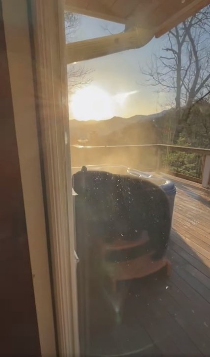 Медведь_джакузи_2