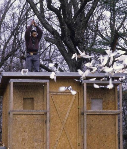 Майк Тайсон