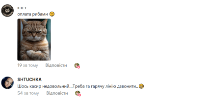 Комментарии к видео с котом кассиром в Авроре