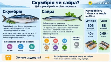 Скумбрия и сайра имеют разный питательный состав и полезные свойства