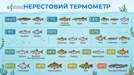 За якої температури настає нерест у різних видів риб