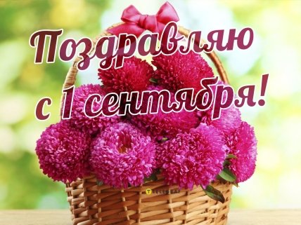 поздравления с 1 сентября