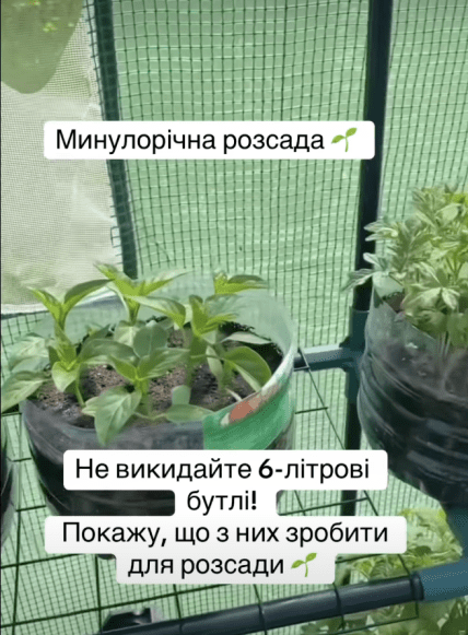 Як зробити з баклажки міні-парник
