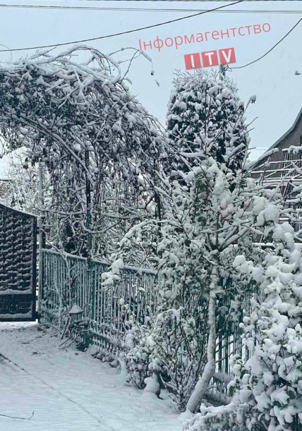 Снег на Волыни