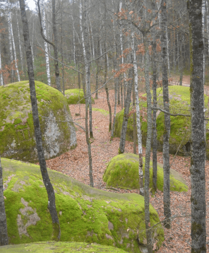 урочище каменное село на житомирщине
