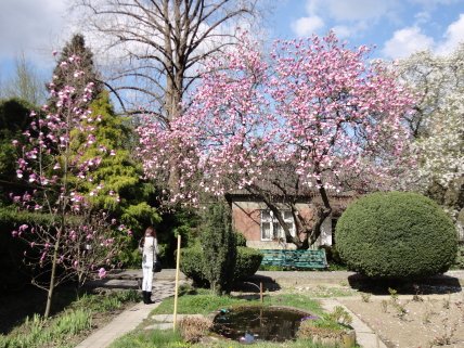 Ботанический сад в Ужгороде