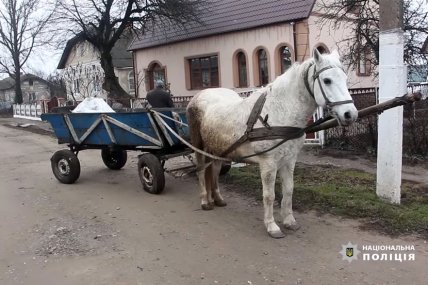 Лошадь с повозкой