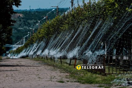 Дерева під антидроновими сітками
