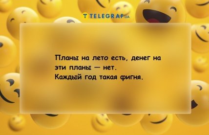 Анекдоты про планы на лето