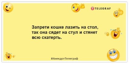 Приколы про котов
